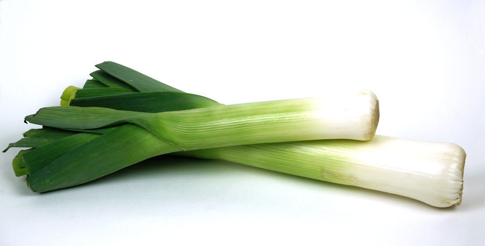 frischer lauch