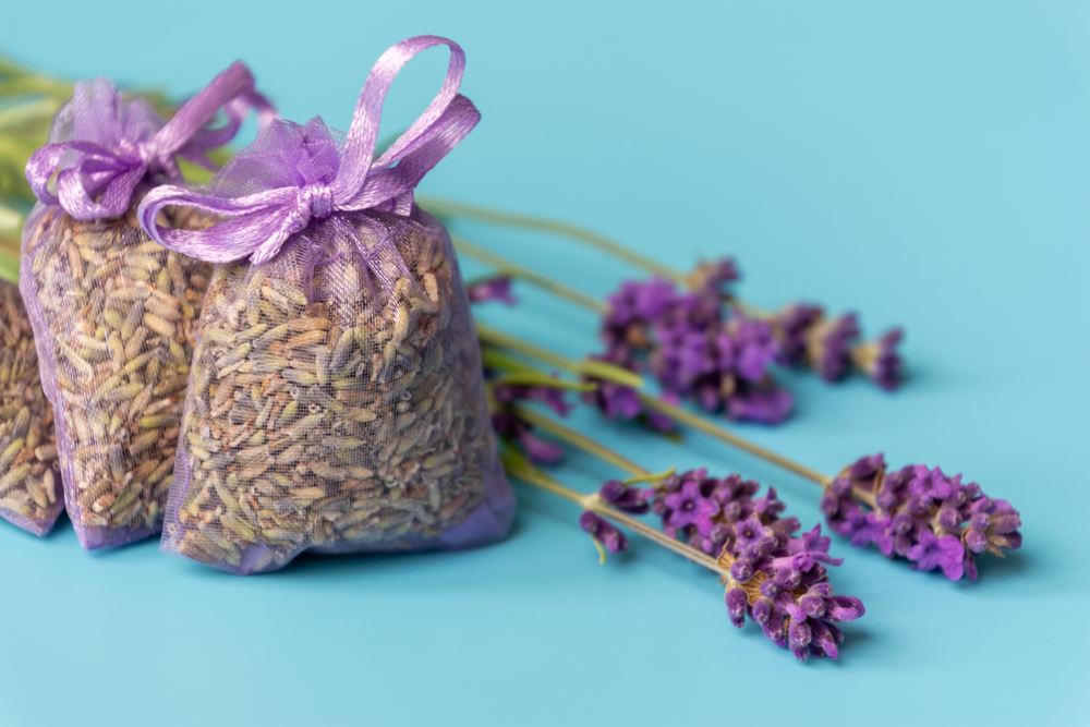 lavendel säckchen