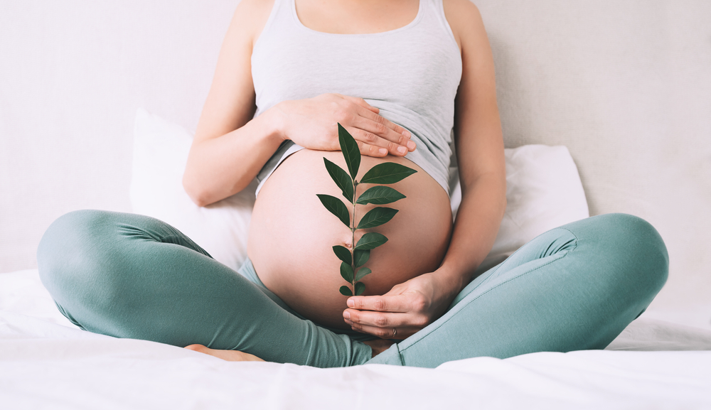 Auf welche Kauffaktoren Sie zu Hause vor dem Kauf bei Schwarzkümmelöl in schwangerschaft achten sollten
