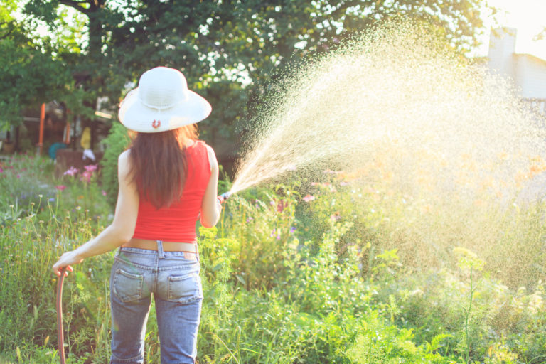 Gartenbewässerung: Die natürlichen Ressourcen effizient nutzen
