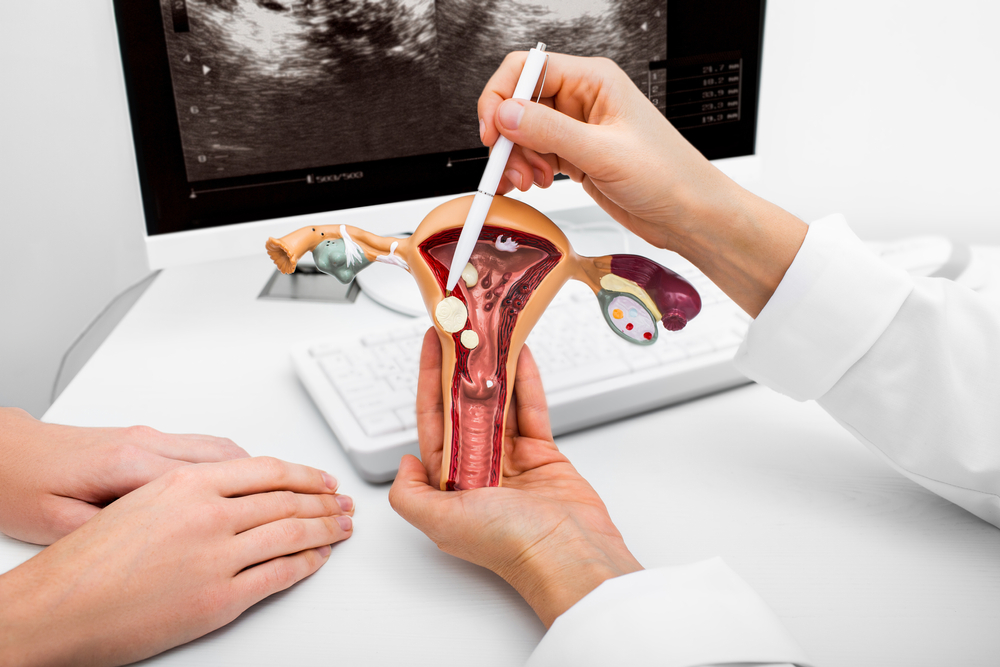 anatomie der gebärmutter