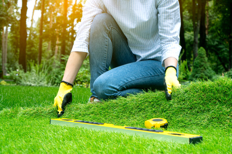 Kauf von Kunstrasen: Eine kluge Idee für Gartenbesitzer