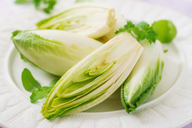 Chicorėe