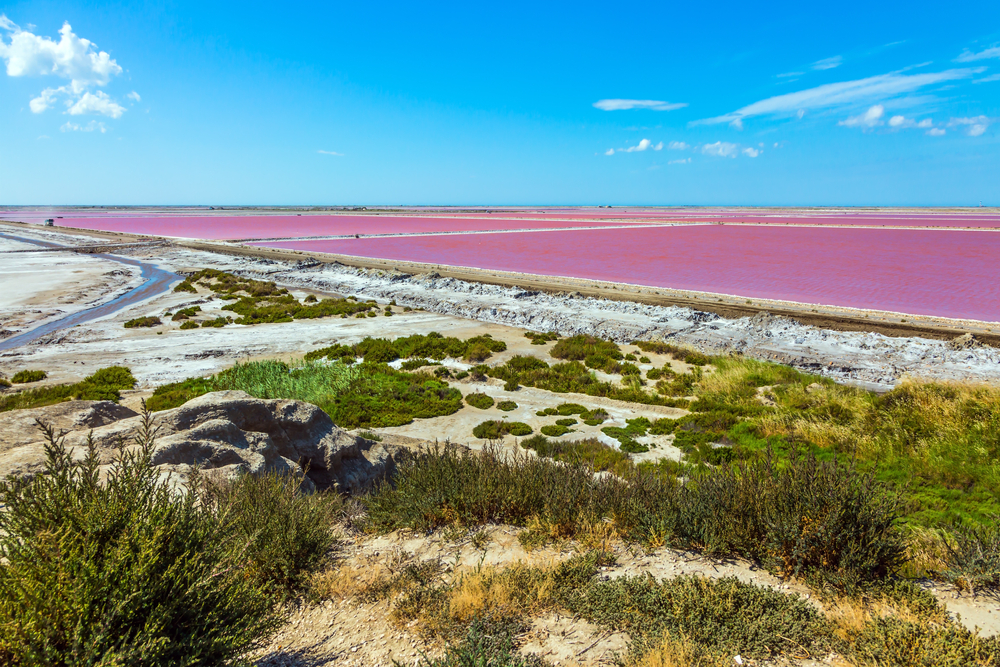 Camargue